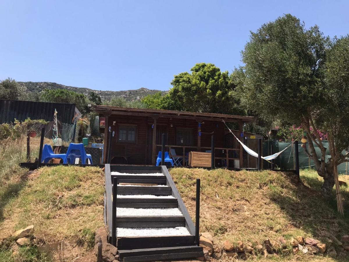 Rustic Cabin Tarifa 4 Guests 10 Minutes To Beach エクステリア 写真