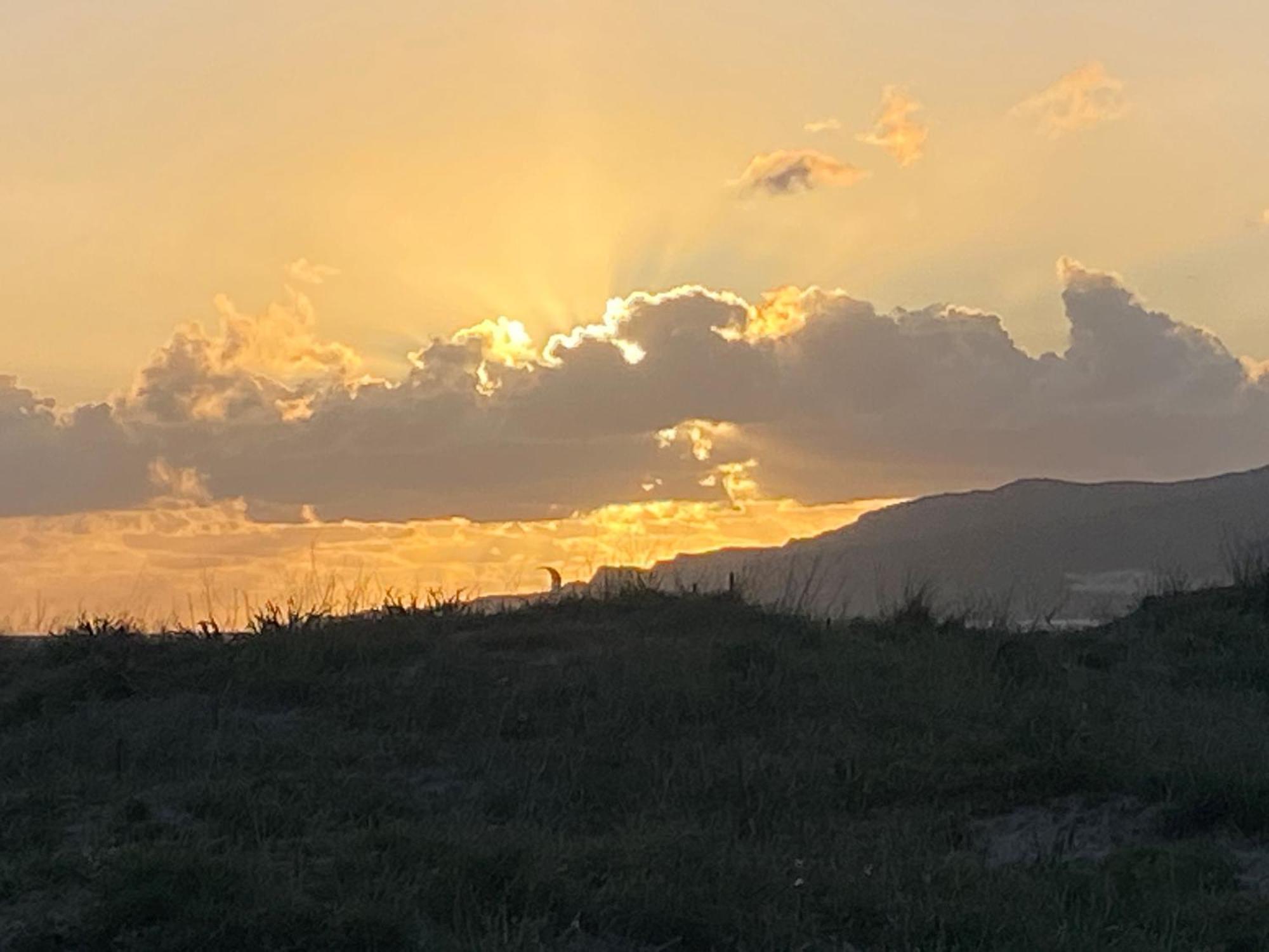 Rustic Cabin Tarifa 4 Guests 10 Minutes To Beach エクステリア 写真