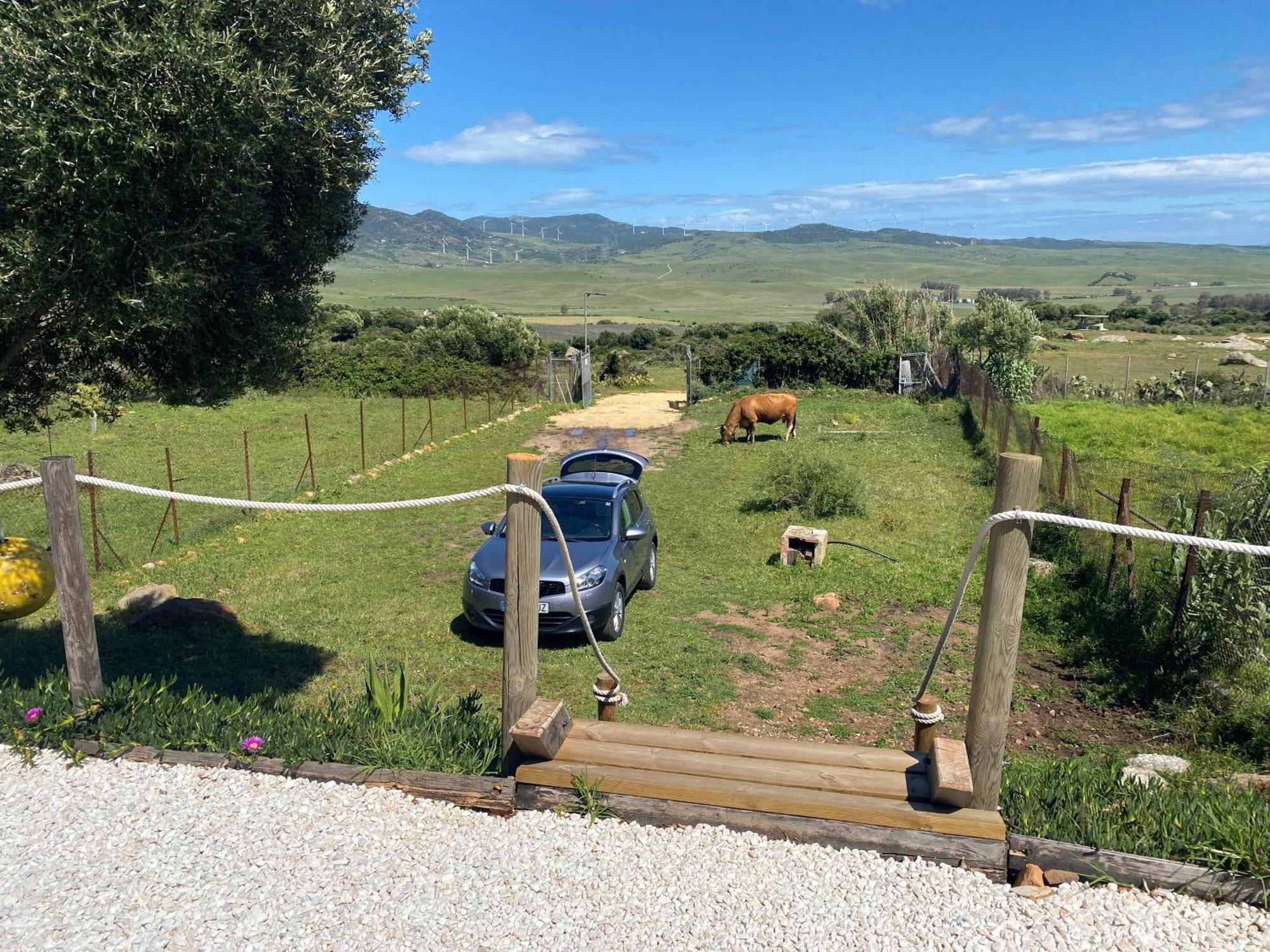 Rustic Cabin Tarifa 4 Guests 10 Minutes To Beach エクステリア 写真